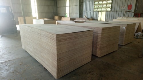 Eucalyptus core plywood